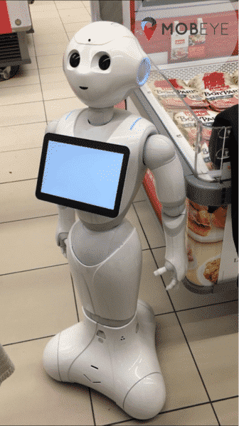 Robot Herta Pepper